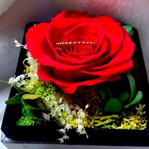 Knuckle Ring for Women